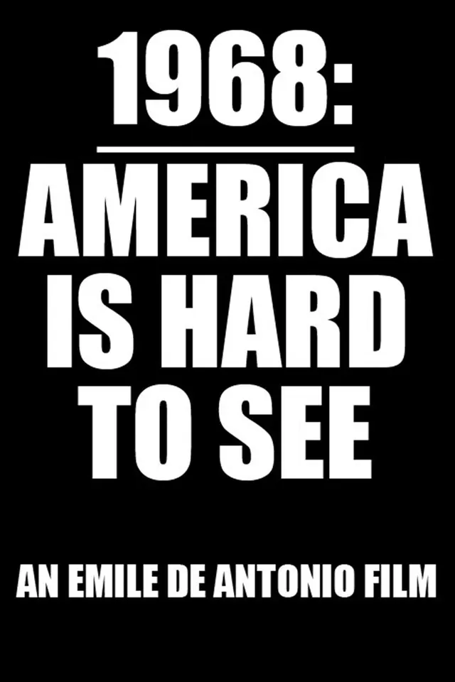 America is Hard to See poster